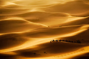 Décor Panoramique Sahara Camel Caravan
