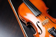 Beautiful violin Wall Mural-Arts-Eazywallz