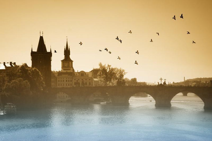 Birds over Charles Bridge in Prague Wall mural Wall Mural-Animals & Wildlife,Buildings & Landmarks,Cityscapes-Eazywallz