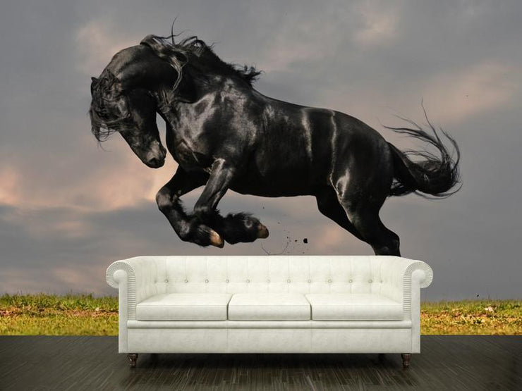 Black stallion Wall Mural-Animals & Wildlife-Eazywallz