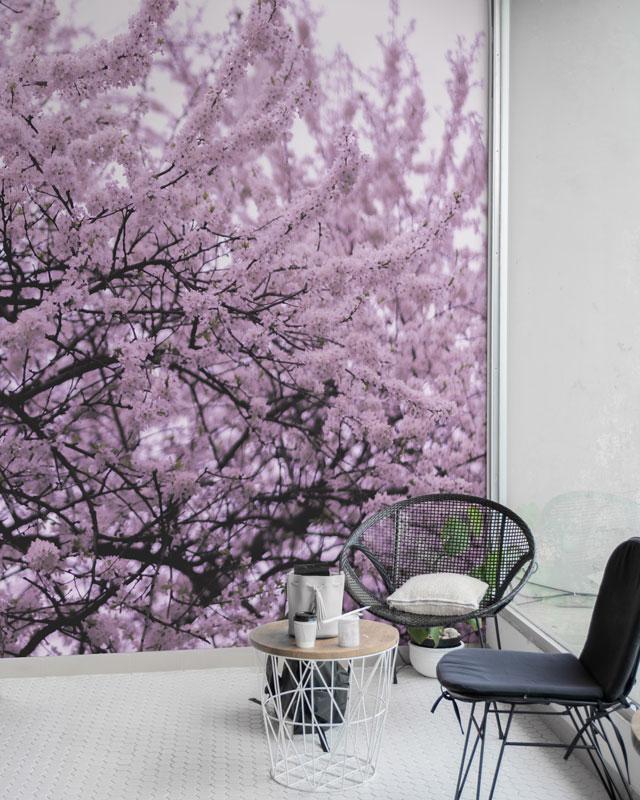 Blossom Tree Wall Mural-Florals,Featured Category of the Month-Eazywallz