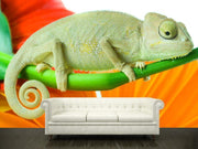 Chameleon on flower Wall Mural-Animals & Wildlife,Macro-Eazywallz