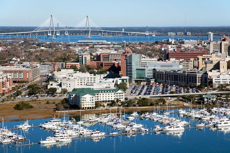 Charleston, South Carolina Skyline Wall Mural-Cityscapes-Eazywallz