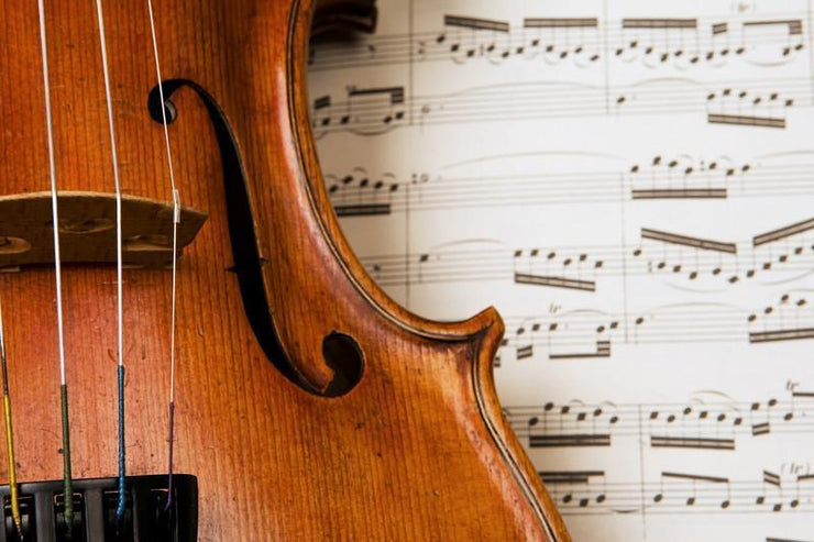 Closeup of a Violin Wall Mural-Arts-Eazywallz