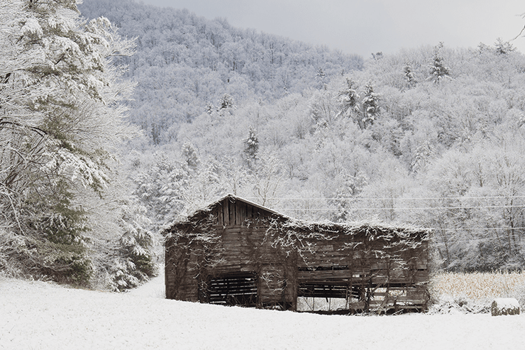 Country Barn in Snow Wall Mural-Landscapes & Nature,Vintage-Eazywallz