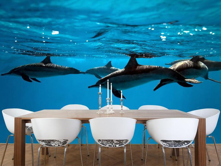 Dolphins in the sea Wall Mural-Animals & Wildlife,Best Rated Murals-Eazywallz