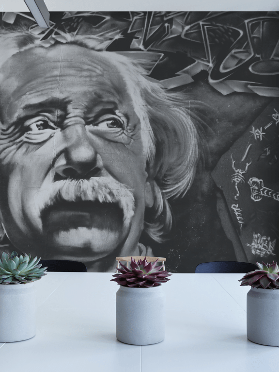 Einstein Street Art Wall Mural-Urban,Textures,Modern Graphics-Eazywallz