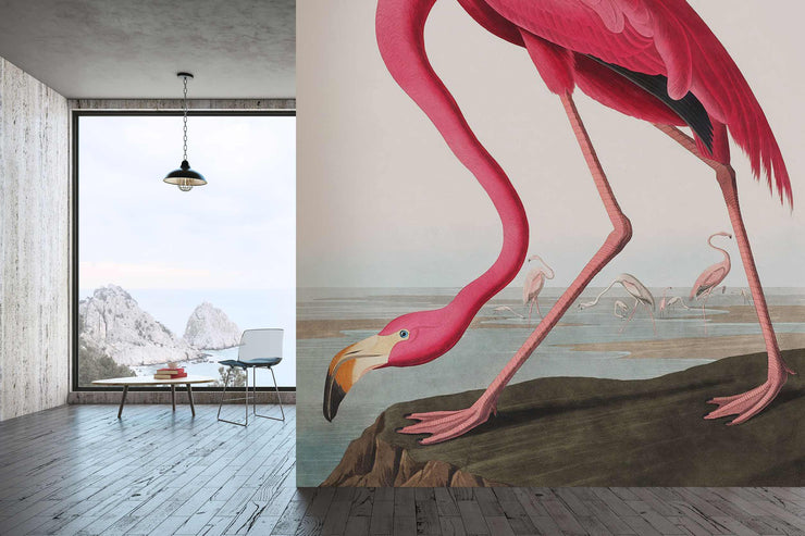 Papier Peint Flamingo