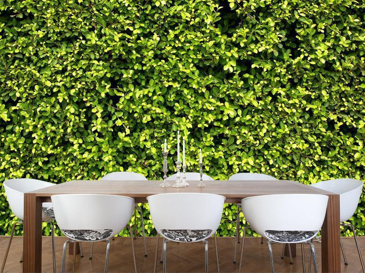 Garden hedge texture Wall Mural-Textures-Eazywallz