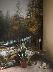 Golden Hour at Yosemite Park Wall Mural-Landscapes & Nature-Eazywallz