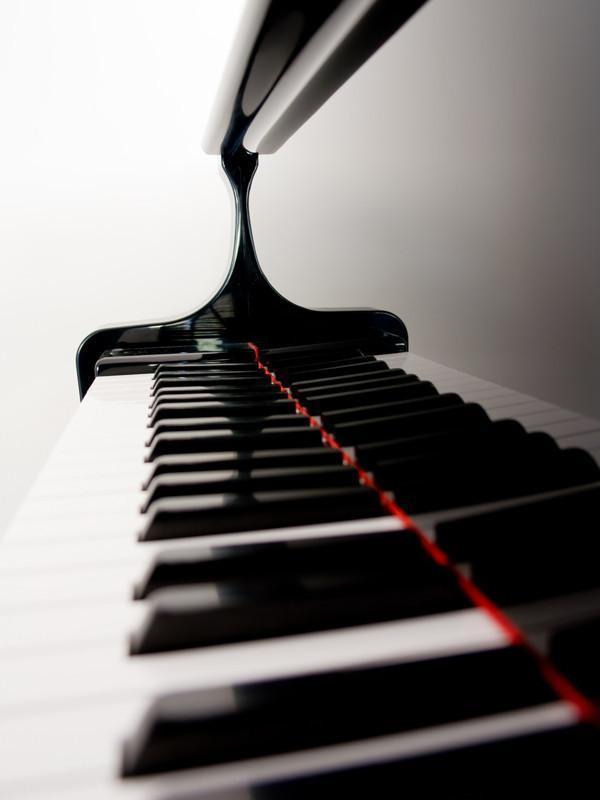 Grand piano keys Wall Mural-Arts,Macro-Eazywallz