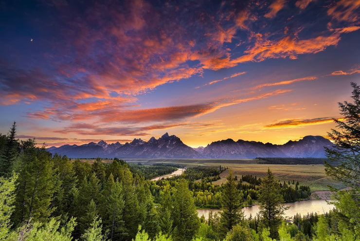 Grand Teton Wall Mural-Landscapes & Nature-Eazywallz