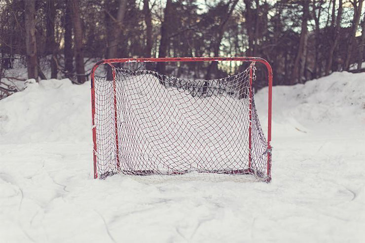 Hockey Net Wall Mural-Sports-Eazywallz