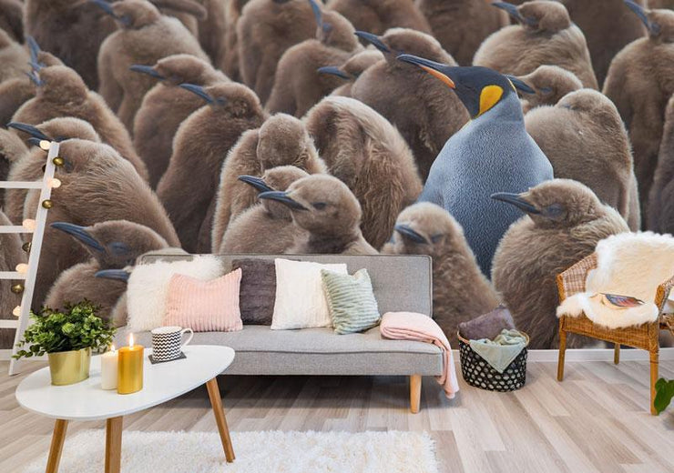 King penguin on Falkland Island Wall Mural-Animals & Wildlife-Eazywallz