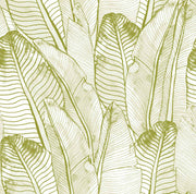 Papier Peint Watercolor Leaf a Souvenir