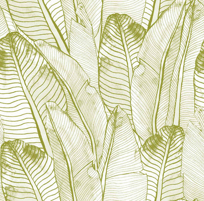Papier Peint Watercolor Leaf a Souvenir