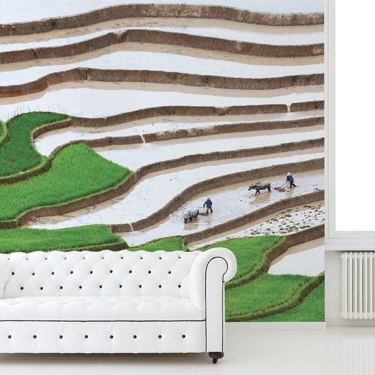 Plowing the Fields Wall Mural-Landscapes & Nature-Eazywallz                                