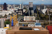 Sacramento Skyline Wall Mural-Cityscapes-Eazywallz