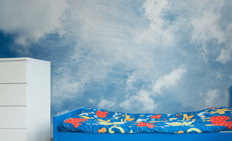 Soft Sky & Clouds Wall Mural-Landscapes & Nature-Eazywallz