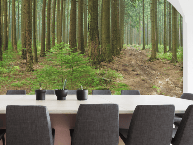 Spruce and Beech Trees Panoramic Wall Mural-Landscapes & Nature,Panoramic-Eazywallz