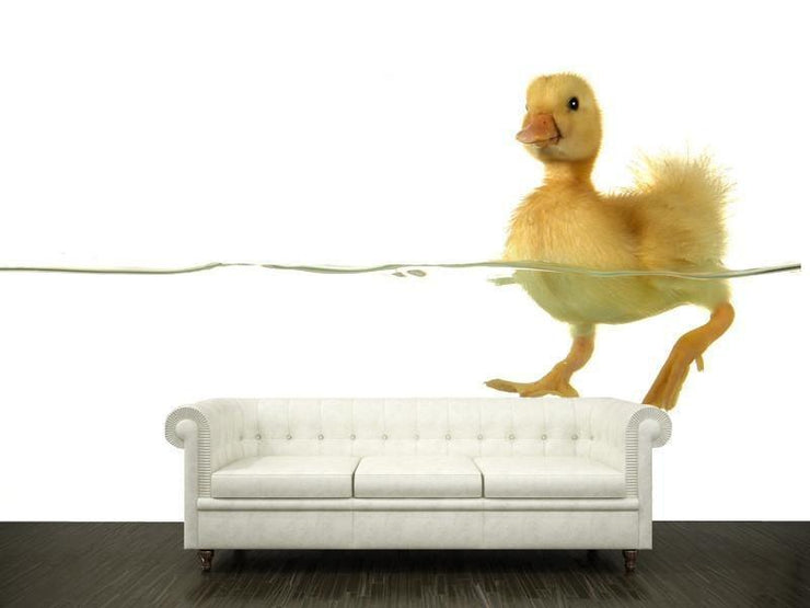 Swimming duck Wall Mural-Animals & Wildlife-Eazywallz