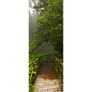 Tarzan Jungle Door Mural-Landscapes & Nature-Eazywallz
