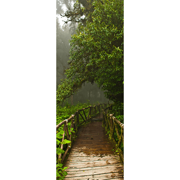 Tarzan Jungle Door Mural-Landscapes & Nature-Eazywallz