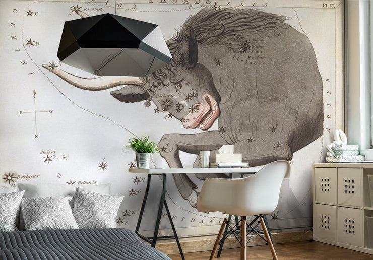 Taurus Wall Mural-astrology-Eazywallz