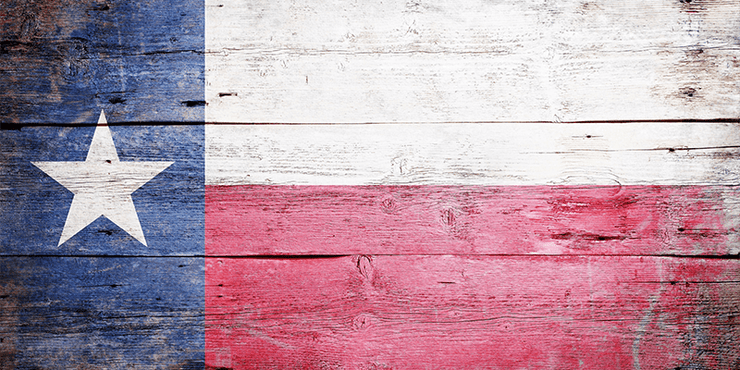 Texas Flag on Wood Wall Mural-Arts-Eazywallz