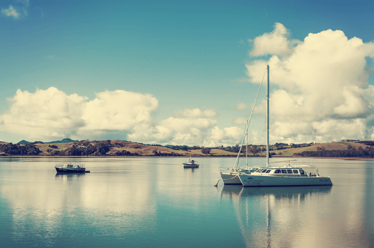 The Boats of Fisherman's Wharf Wall Mural-Transportation-Eazywallz