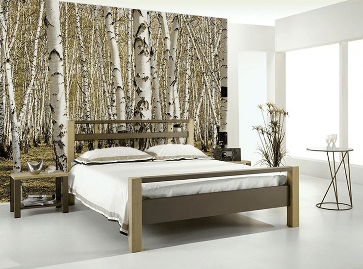 Tree Birch in Spring Wall Mural-Landscapes & Nature-Eazywallz