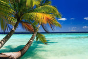 Tropical Beach Wall Mural-Tropical & Beach-Eazywallz