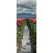 Tulip Field Path Door Mural-Landscapes & Nature-Eazywallz