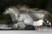 Papier Peint Photo Chevaux Blancs