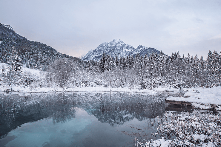 Winter Landscape in Slovenia Wall Mural-Landscapes & Nature,Vintage-Eazywallz