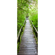 Décor de porte Sentier en bois à travers la forêt tropicale