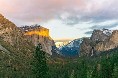 Yosemite National Park Wall Mural-Landscapes & Nature-Eazywallz