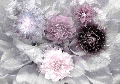 Customized Image