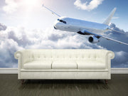 Airplane in the sky Wall Mural-Transportation-Eazywallz