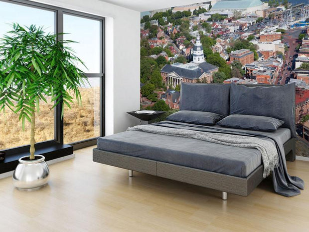 Annapolis, Maryland Skyline Wall Mural-Cityscapes-Eazywallz
