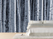 Aspen Birch Forest Wall Mural-Landscapes & Nature,Patterns,Textures,Best Rated Murals-Eazywallz