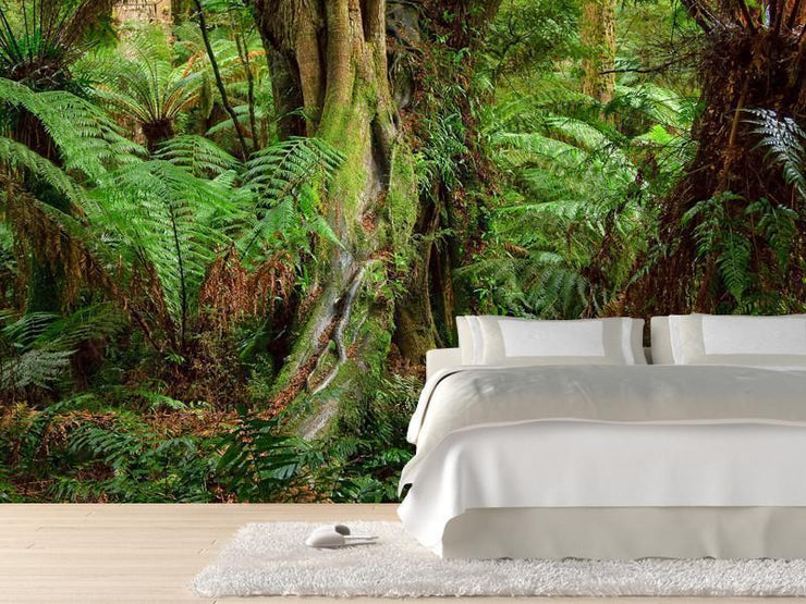 Australian jungle Wall Mural-Landscapes & Nature-Eazywallz