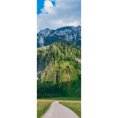Austrian Mountain Path Door Mural-Landscapes & Nature-Eazywallz