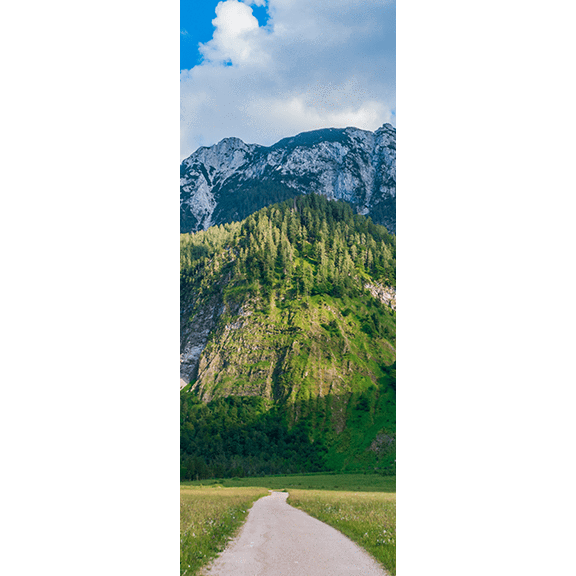 Austrian Mountain Path Door Mural-Landscapes & Nature-Eazywallz