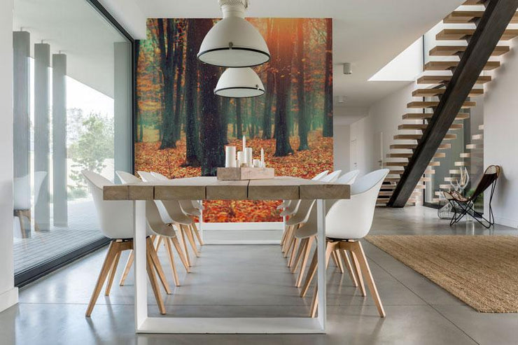 Autumn Forest Landscape Wall Mural-Landscapes & Nature-Eazywallz