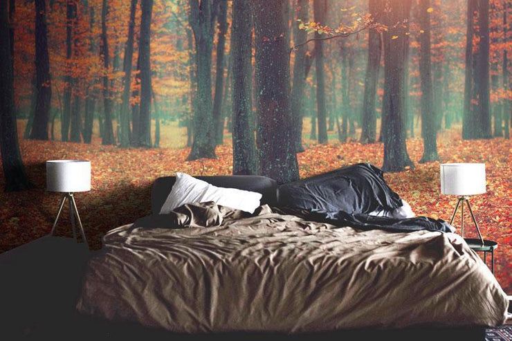 Autumn Forest Landscape Wall Mural-Landscapes & Nature-Eazywallz