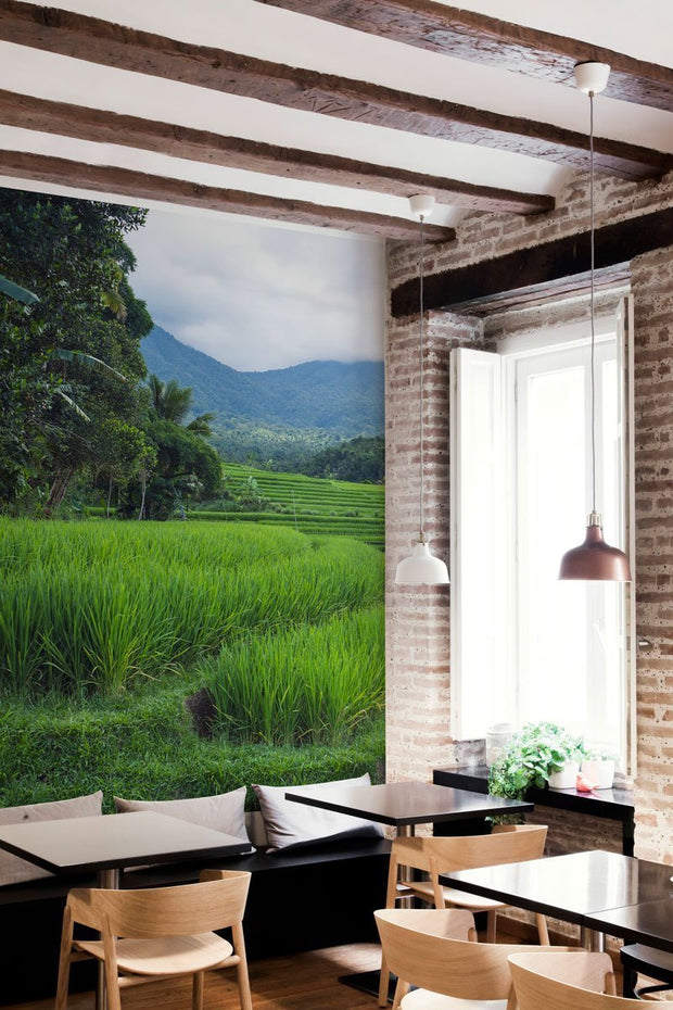 Balinese Landscape Wall Mural-Landscapes & Nature-Eazywallz