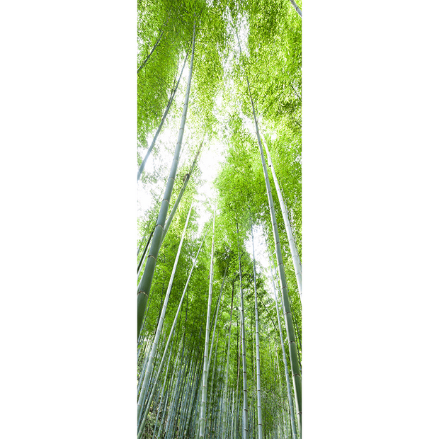 Bamboo Forest Door Mural-Landscapes & Nature-Eazywallz