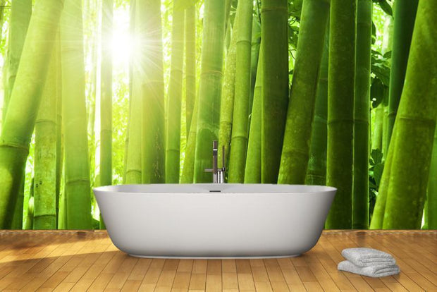 Bamboo forest with morning sunlight wall Mural Wall Mural-Landscapes & Nature,Zen-Eazywallz