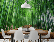 Bamboo grove Wall Mural-Landscapes & Nature,Zen-Eazywallz
